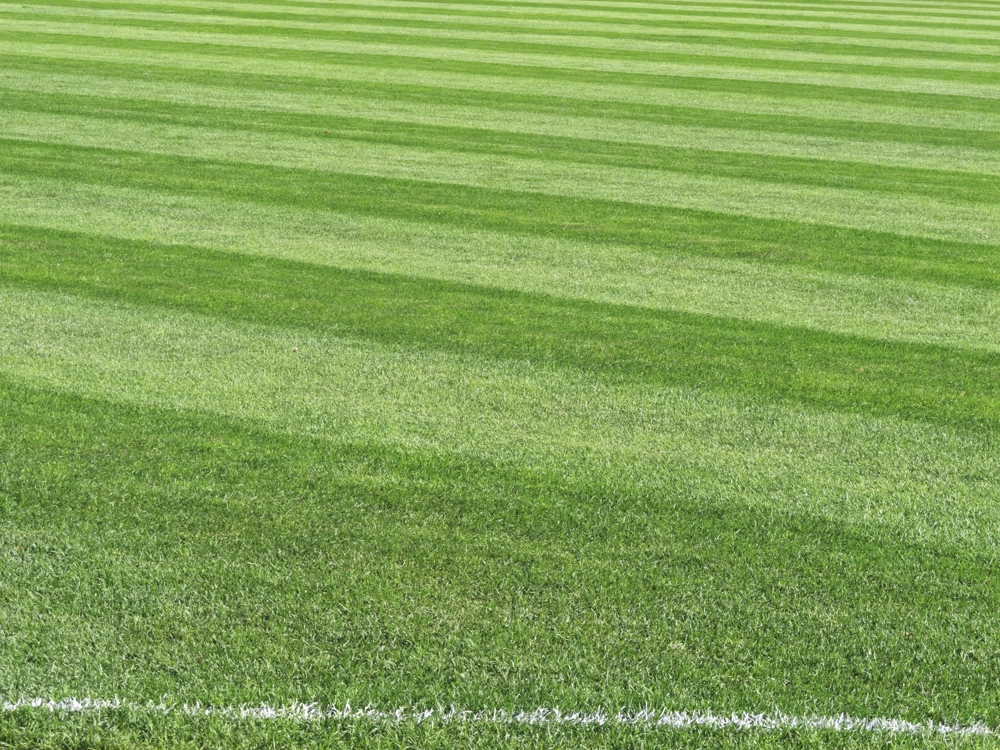 Koszenie trawników na równomiernie przystrzyżonej murawie z widocznymi pasami